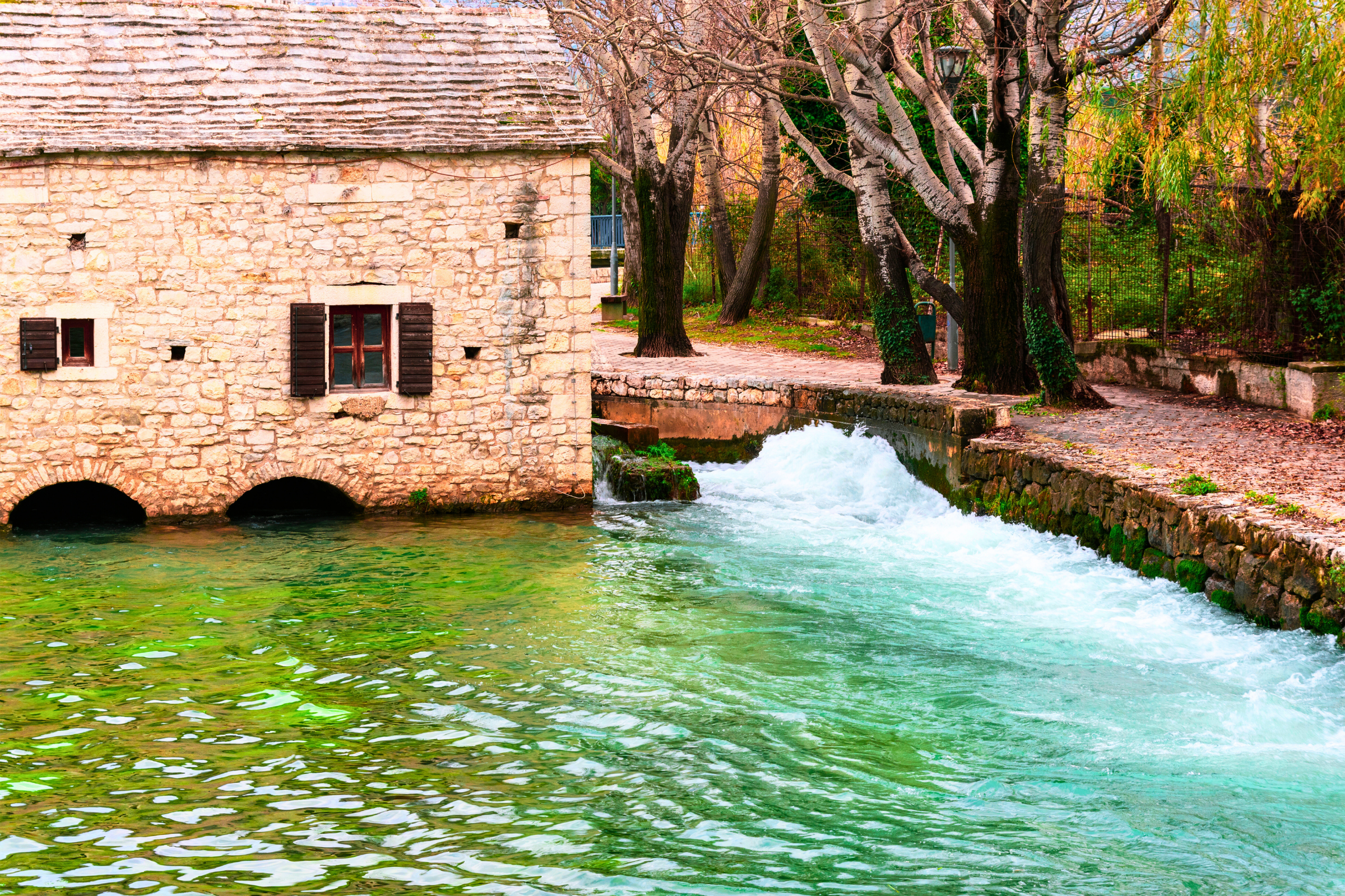 solin (4).webp